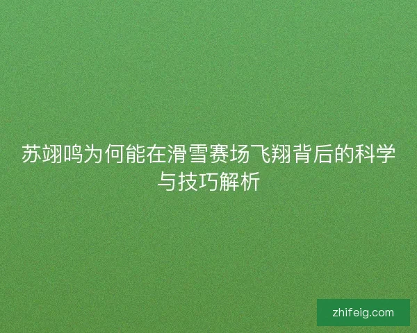 苏翊鸣为何能在滑雪赛场飞翔背后的科学与技巧解析